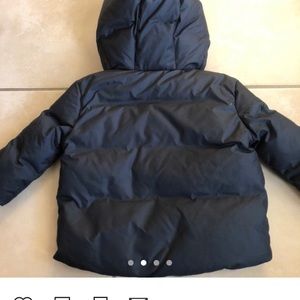 Burberry downfield jacket